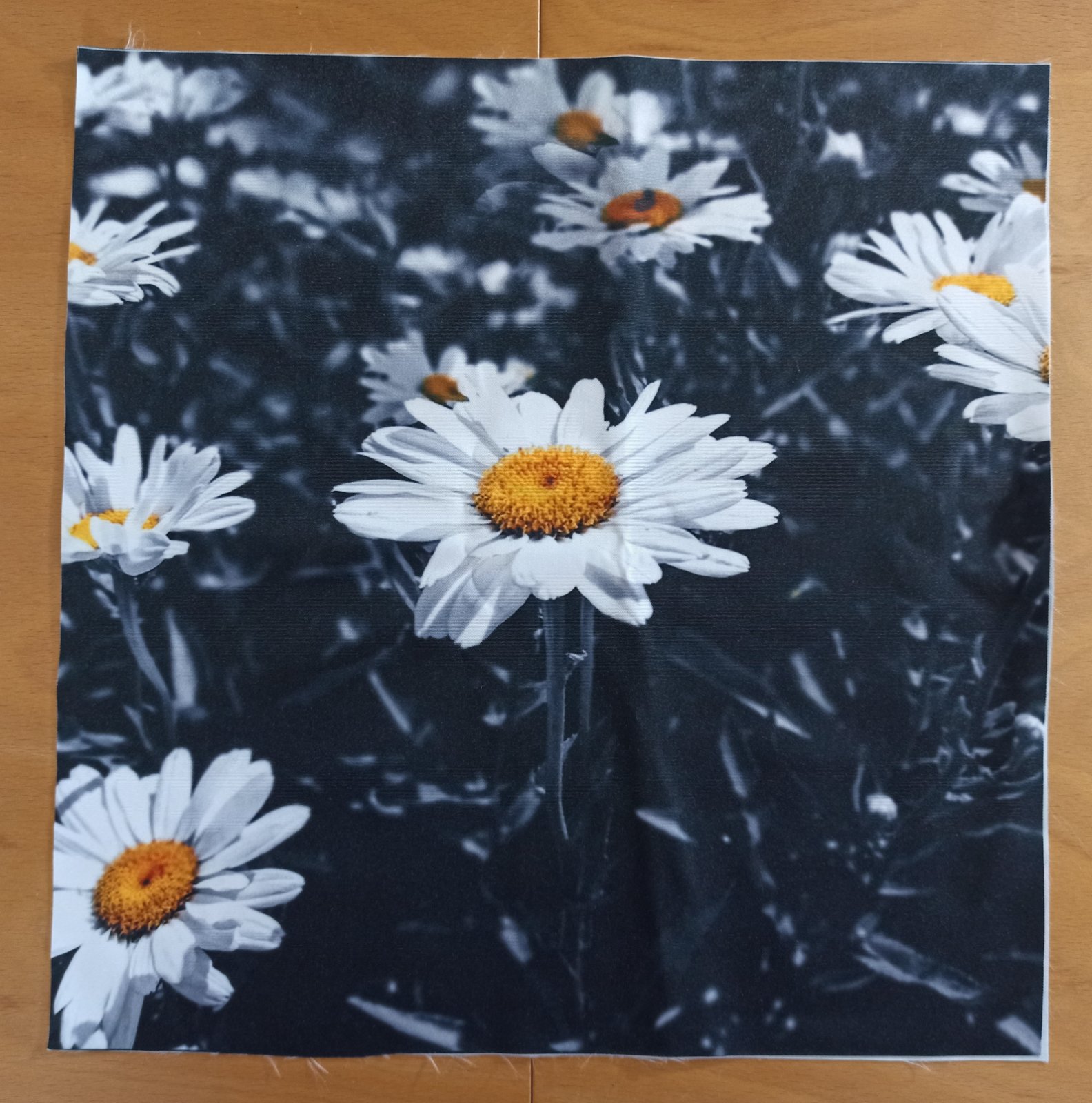Kočárkovina PANEL 38x38 cm - Kopretiny