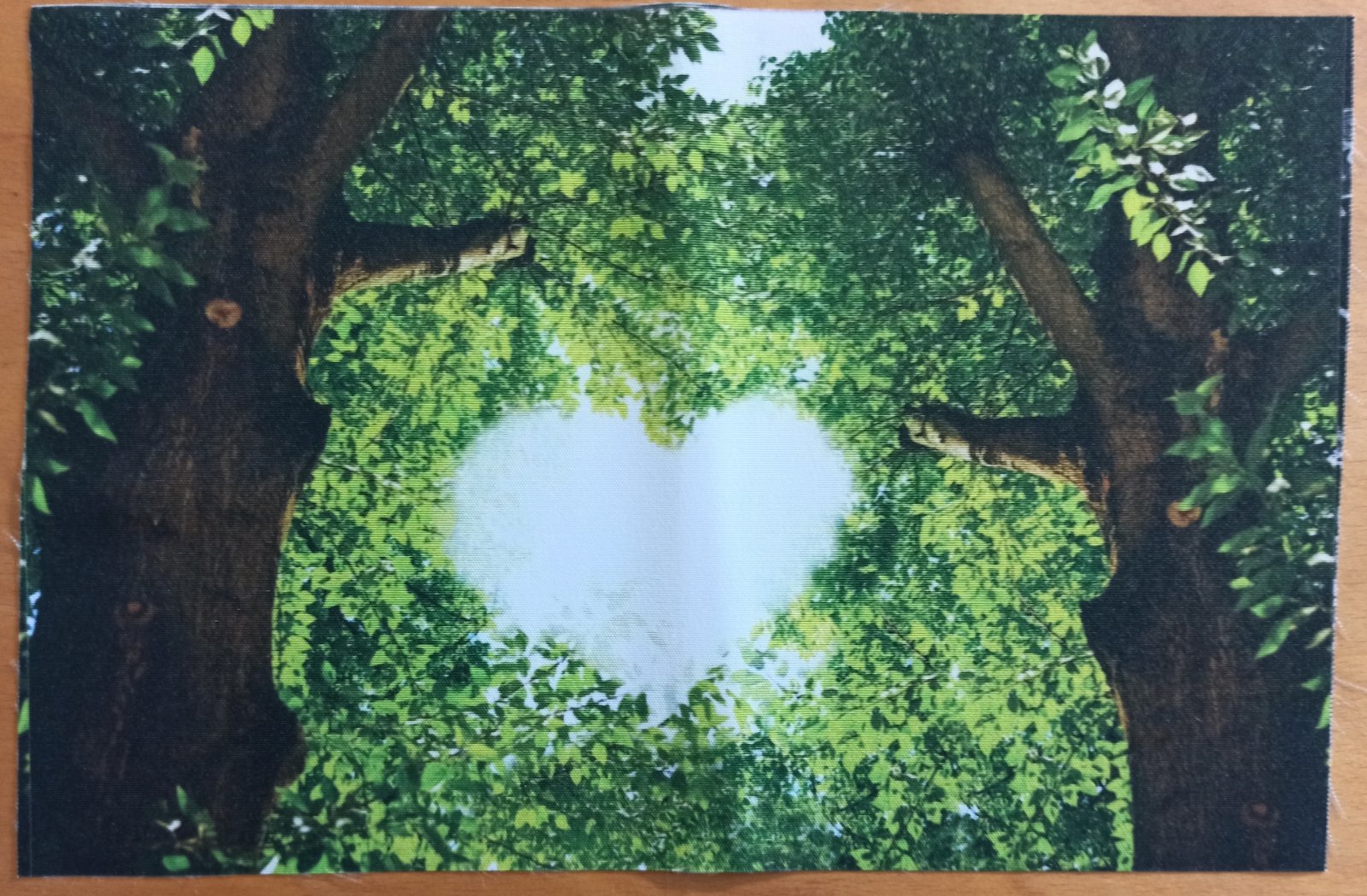 Kočárkovina PANEL 30x20 cm - Srdce mezi stromy