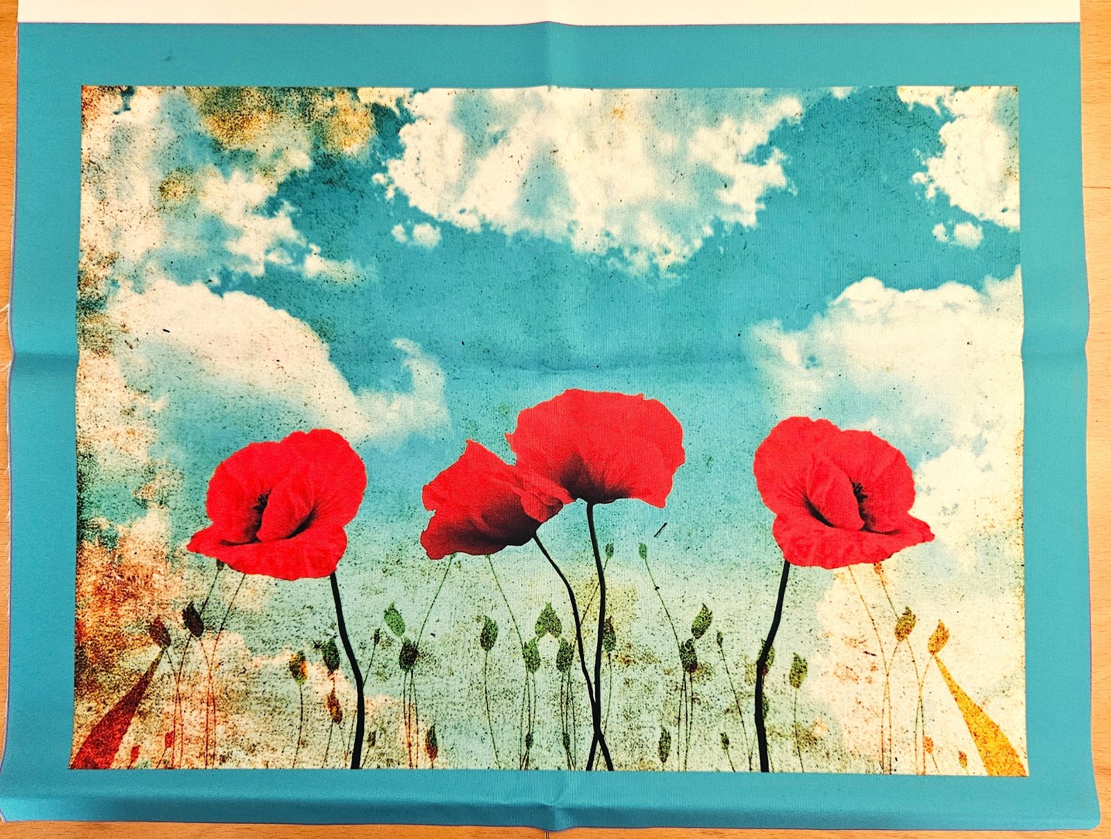08. Kočárkovina PANEL 50x37 cm
